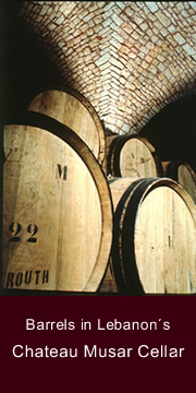 Barrels of Wine